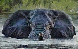 black elephant on water painting, animals, artwork, painting