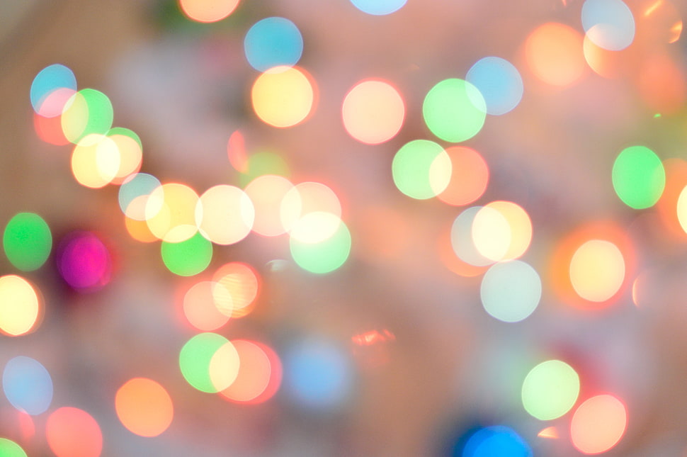 bokeh photography HD wallpaper