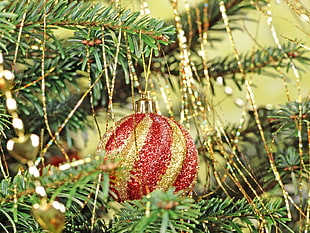 depth of field photography of red and gold-colored bauble