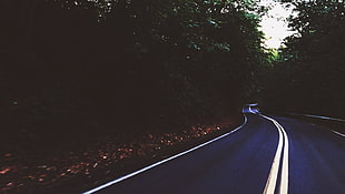 photo of road between forest, filter, nature, road, landscape