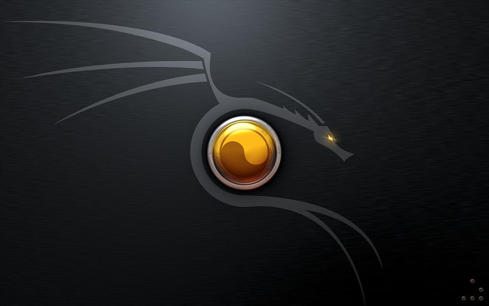 Yin Yang dragon logo, minimalism, dragon, Kali Linux, Linux HD wallpaper
