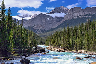 running water beside pine trees with snowy mountain view during daytime, banff national park