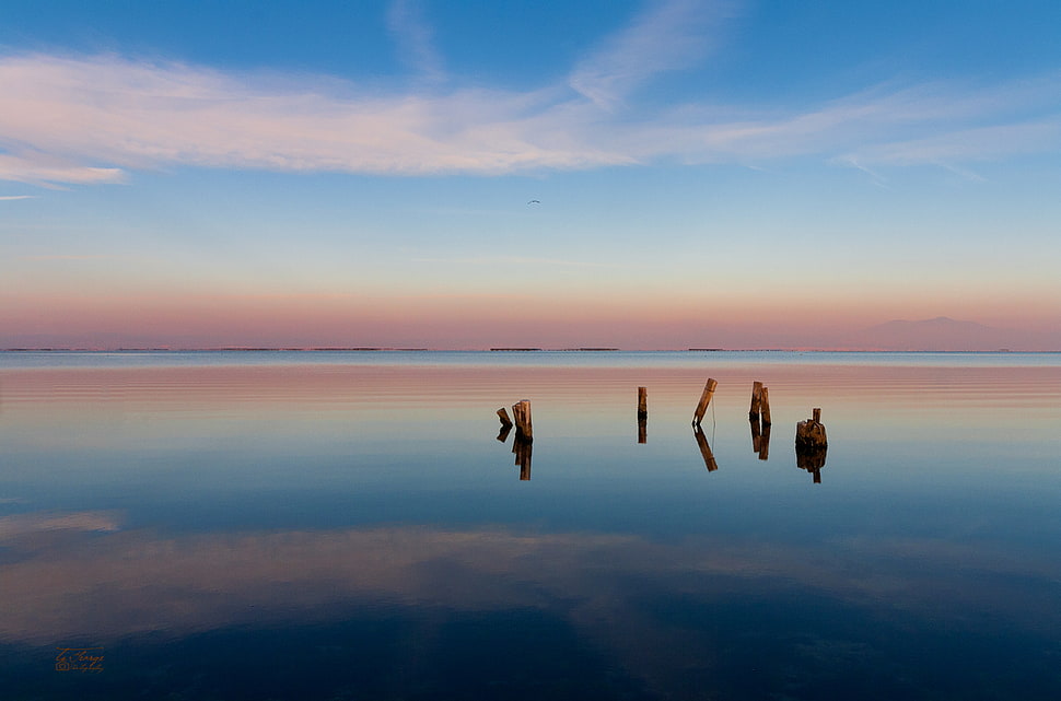 logs on surface of water under blue cloudy sky HD wallpaper