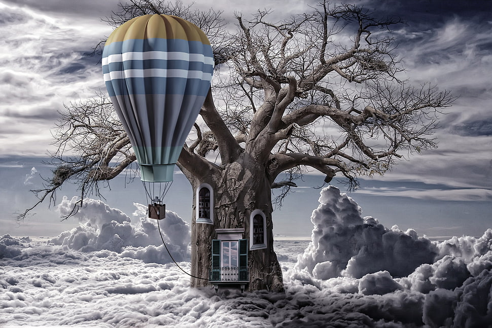 tree with windows beside hot air balloon above clouds digital wallpaper HD wallpaper