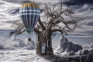 tree with windows beside hot air balloon above clouds digital wallpaper