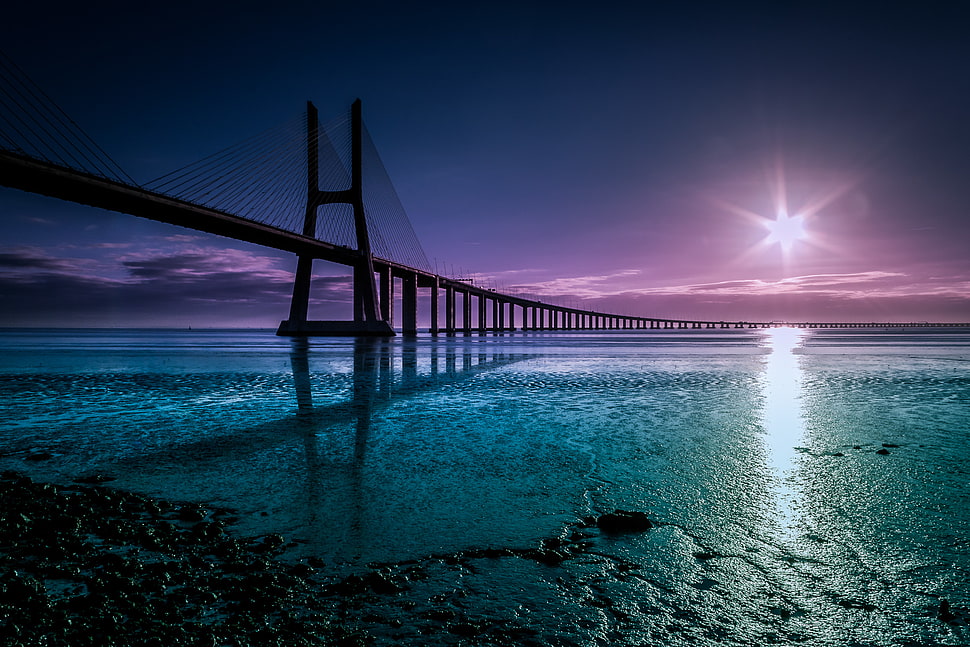 bridge on body of water during day time HD wallpaper