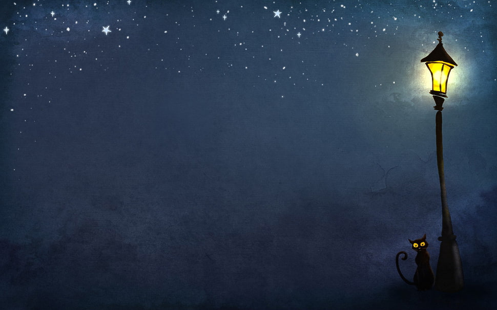 black cat beside turned on post during night illustration HD wallpaper