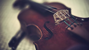 brown violin, music, violin, musical instrument