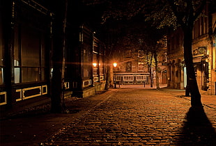 empty street during night time HD wallpaper