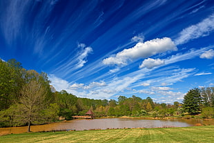 body of water surrounded by trees under blue sky during daytime, meadowlark