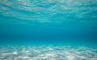 body of water, underwater