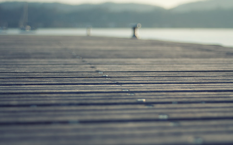 selective focus photography of wooden sea dock during daytime HD wallpaper