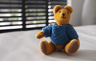 brown and blue teddy bear