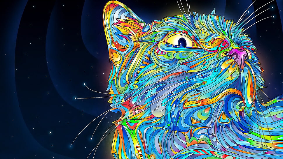 teal and multicolored cat digital wallpaper, cat, space HD wallpaper