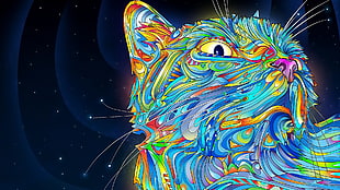 teal and multicolored cat digital wallpaper, cat, space