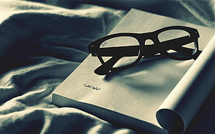black framed eyeglasses, glasses, books