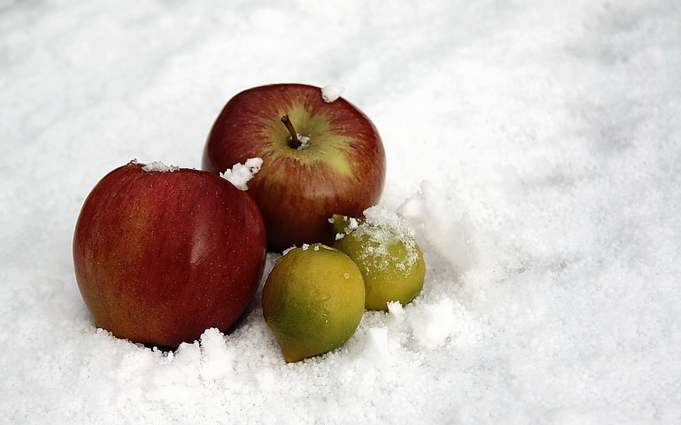 two red apples fruits HD wallpaper