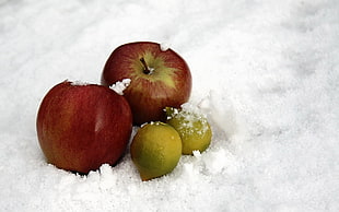 two red apples fruits HD wallpaper