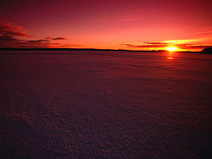 sunset poster, sunset