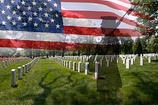 American cemetery near tall tree at daytime HD wallpaper