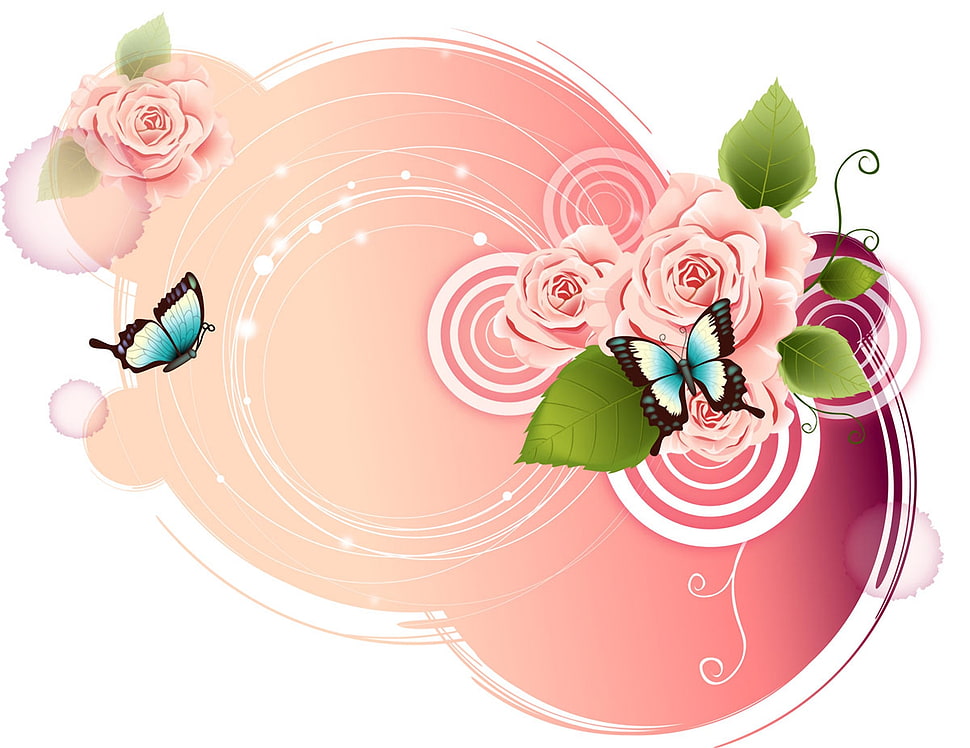 butterfly fly through the pink rose flower illustration HD wallpaper