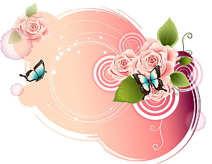 butterfly fly through the pink rose flower illustration