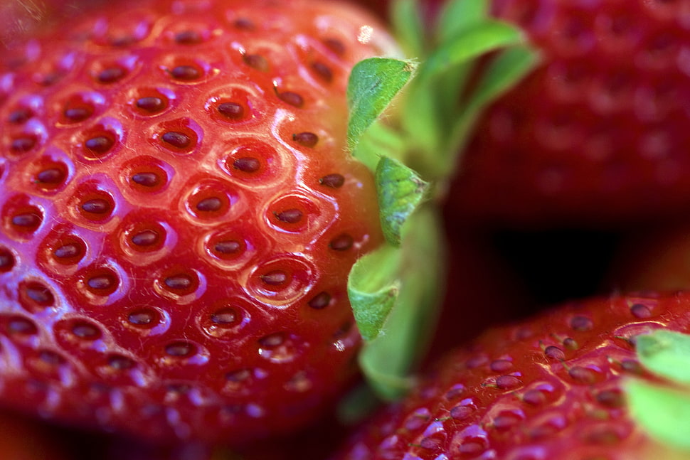 macroscopic photography of strawberries HD wallpaper