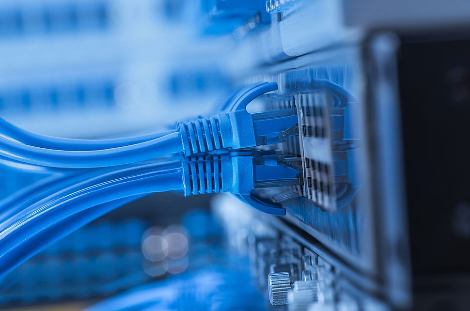 blue ethernet cable plus HD wallpaper