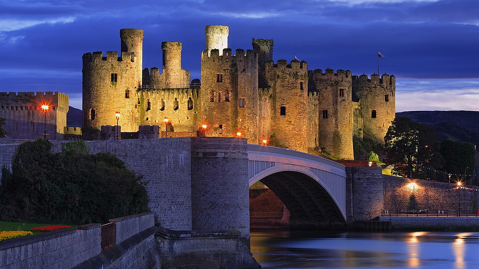 brown concrete castle, castle, bridge, architecture, river HD wallpaper
