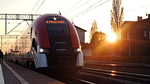 red and black train, Poland, train, train station, sun rays