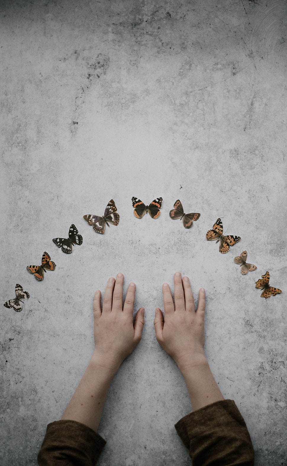 assorted-color butterfly lot, Hands, Butterflies, Background HD wallpaper
