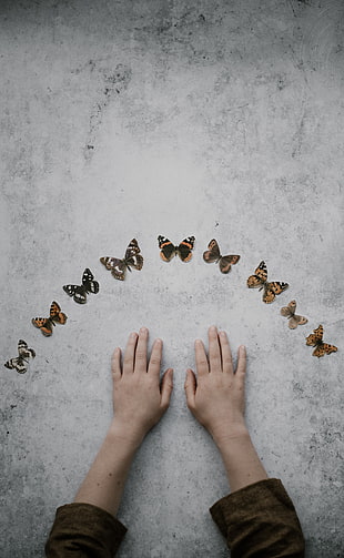 assorted-color butterfly lot, Hands, Butterflies, Background HD wallpaper
