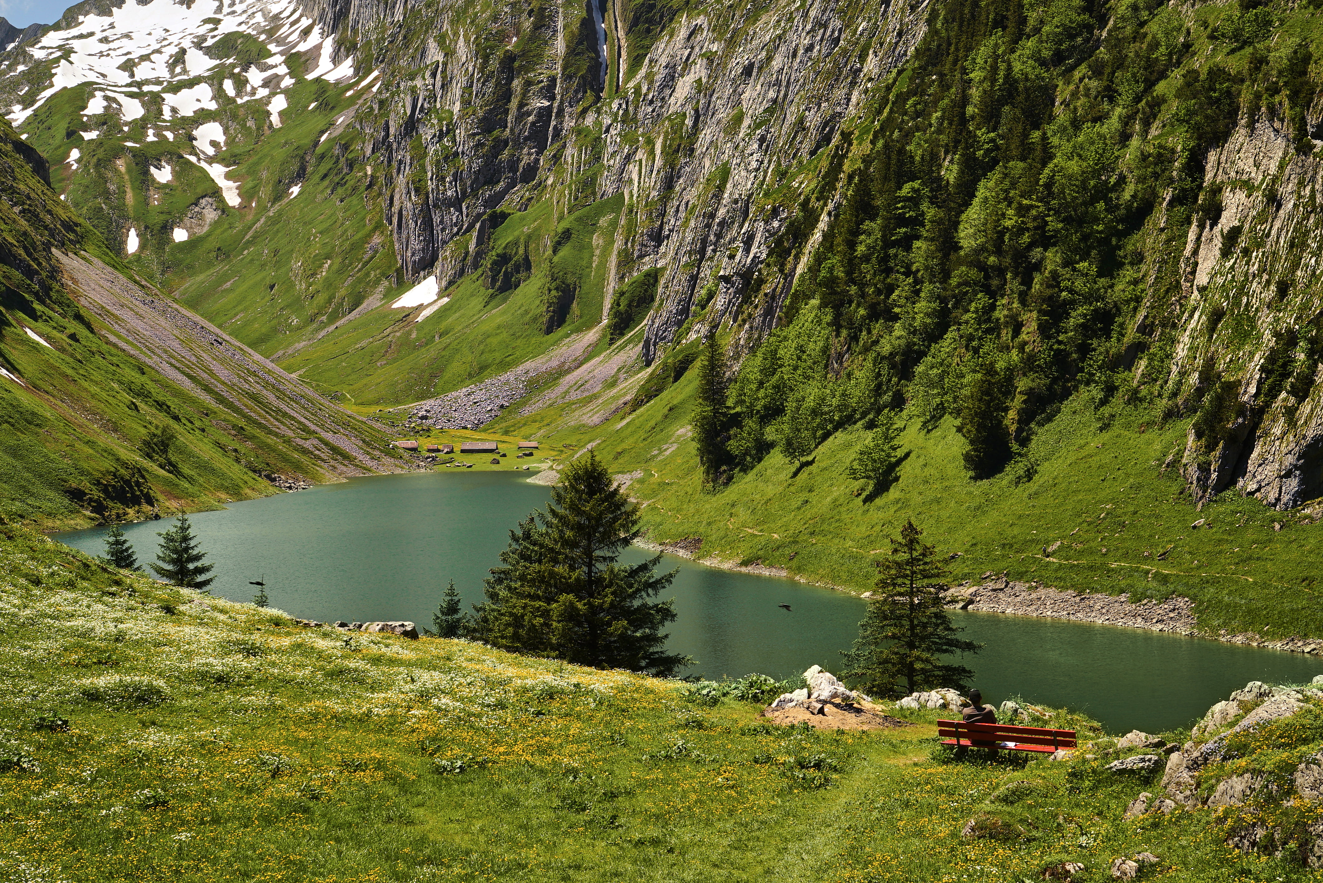 close up photo body of water surrounded by the trees, swiss