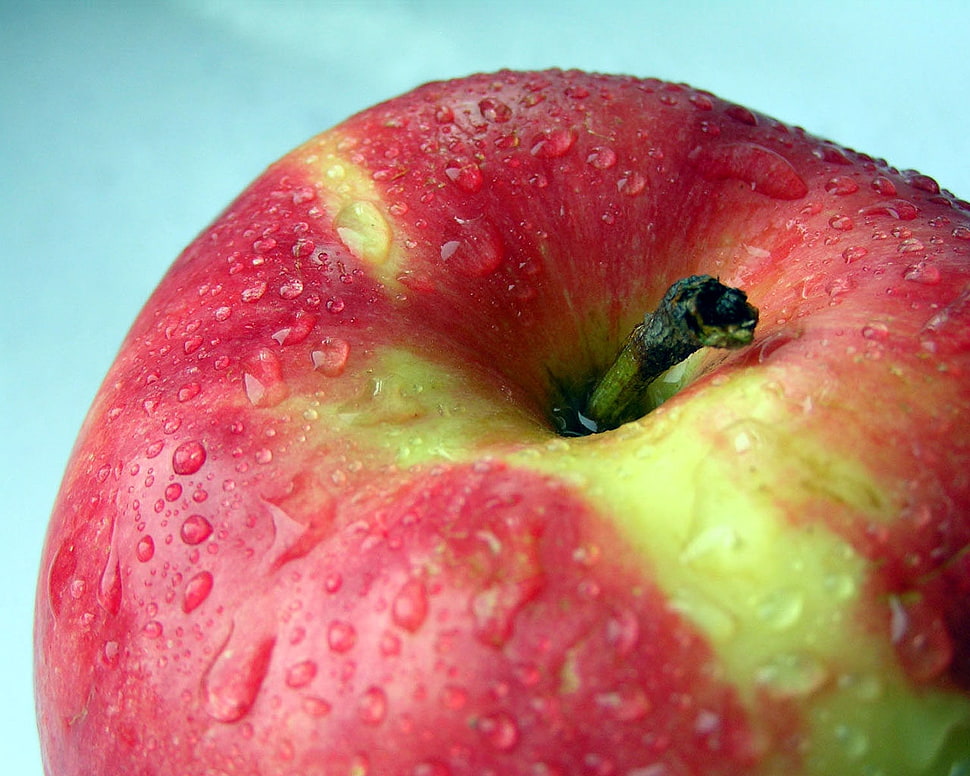 red and yellow apple HD wallpaper