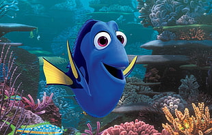 Dory from Finding Nemo HD wallpaper