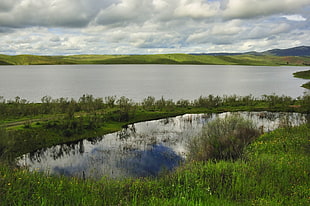 body of water surrounded with green grass during daytime