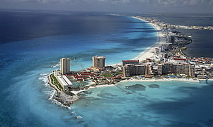 aerial photo of buildings and sea