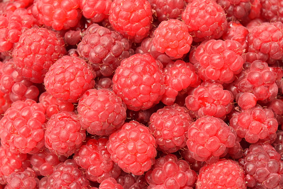 raspberries HD wallpaper
