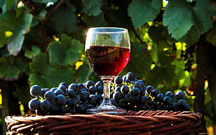 clear long-stem wine glass, wine, drink, fruit, grapes