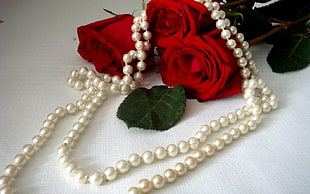 Roses,  Flowers,  Three,  Pearls HD wallpaper