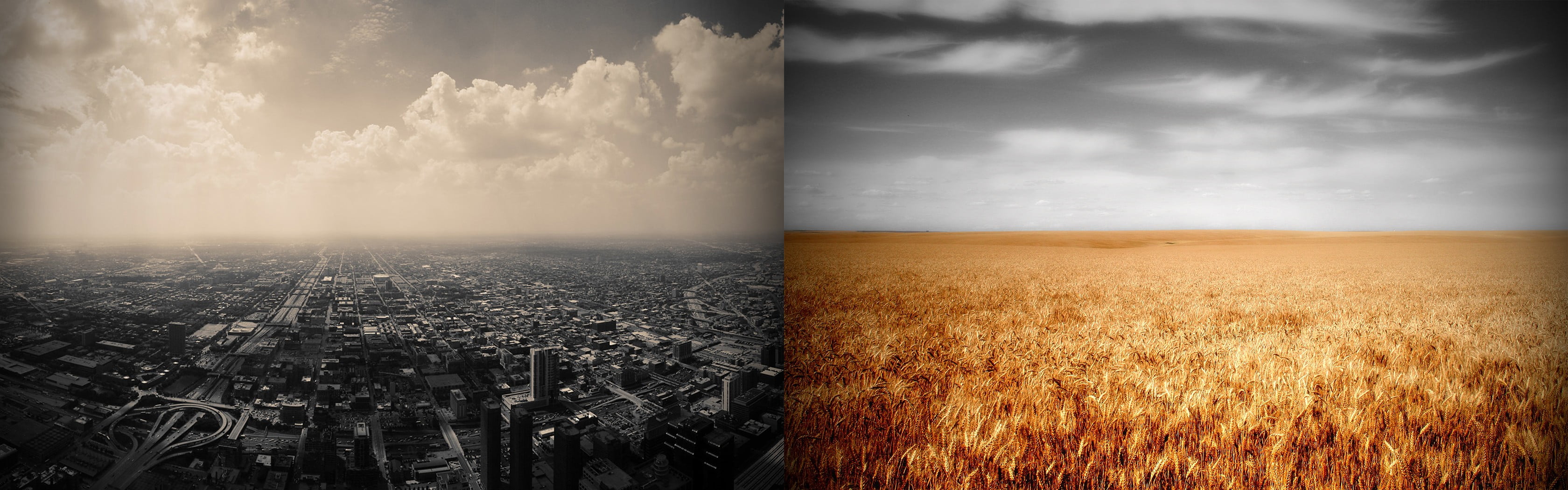 concrete building and brown grass field collage, Chicago, field, collage, cityscape