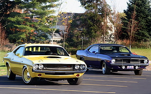 two classic beige and black coupes, car, Dodge Challenger