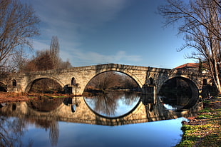 architectural photo of lake under the bridge during daytime