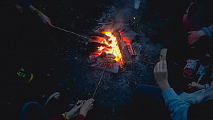 pile of firewood, camping, campfire HD wallpaper
