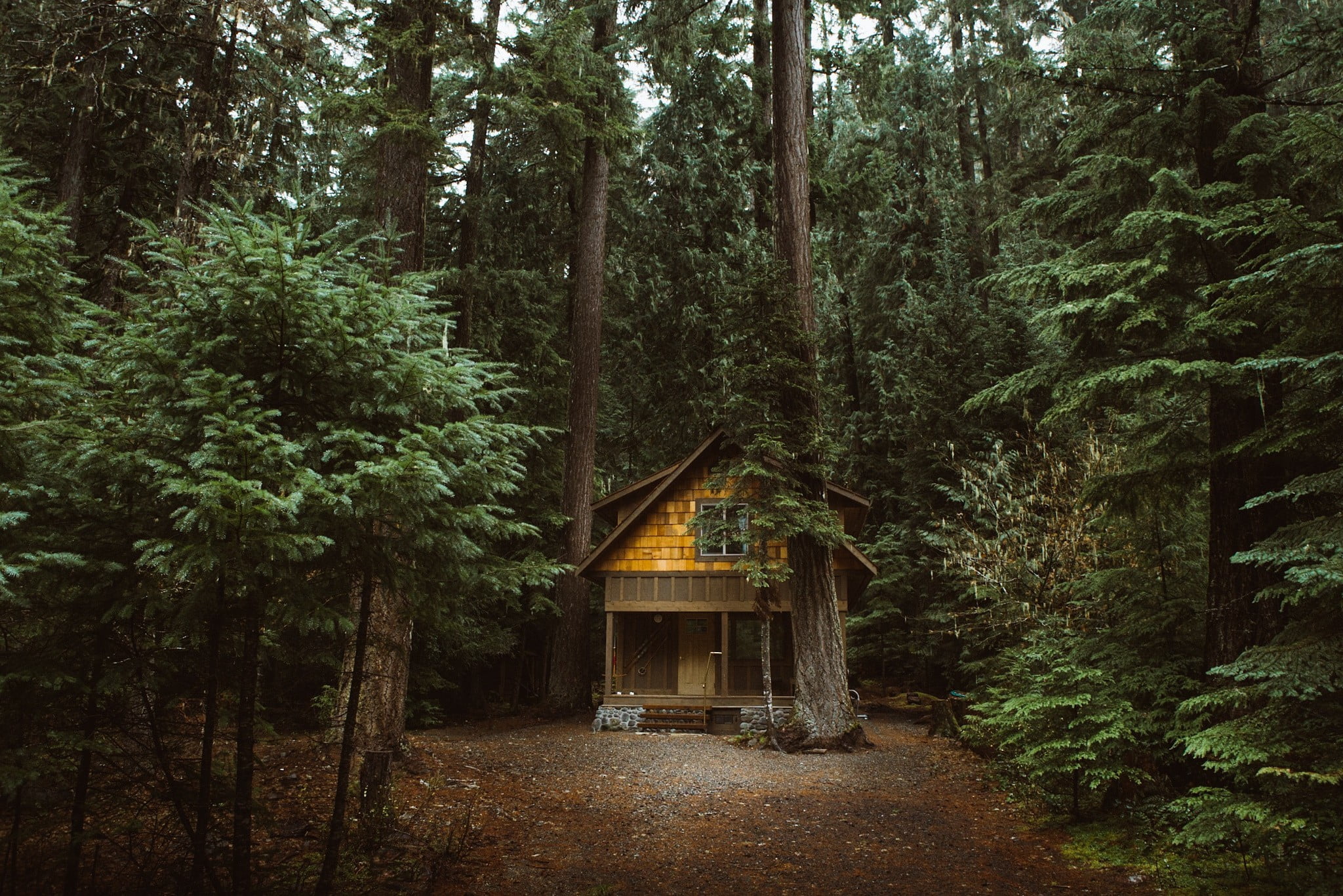 Forest home. Хижина гномов, Британская Колумбия. Боровецкий лес дом отшельника. Forest House Хижина в лесу. Домик «Хижина с кухней» Зион.