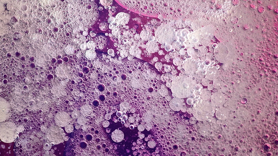 bubbles on liquid, simple background HD wallpaper