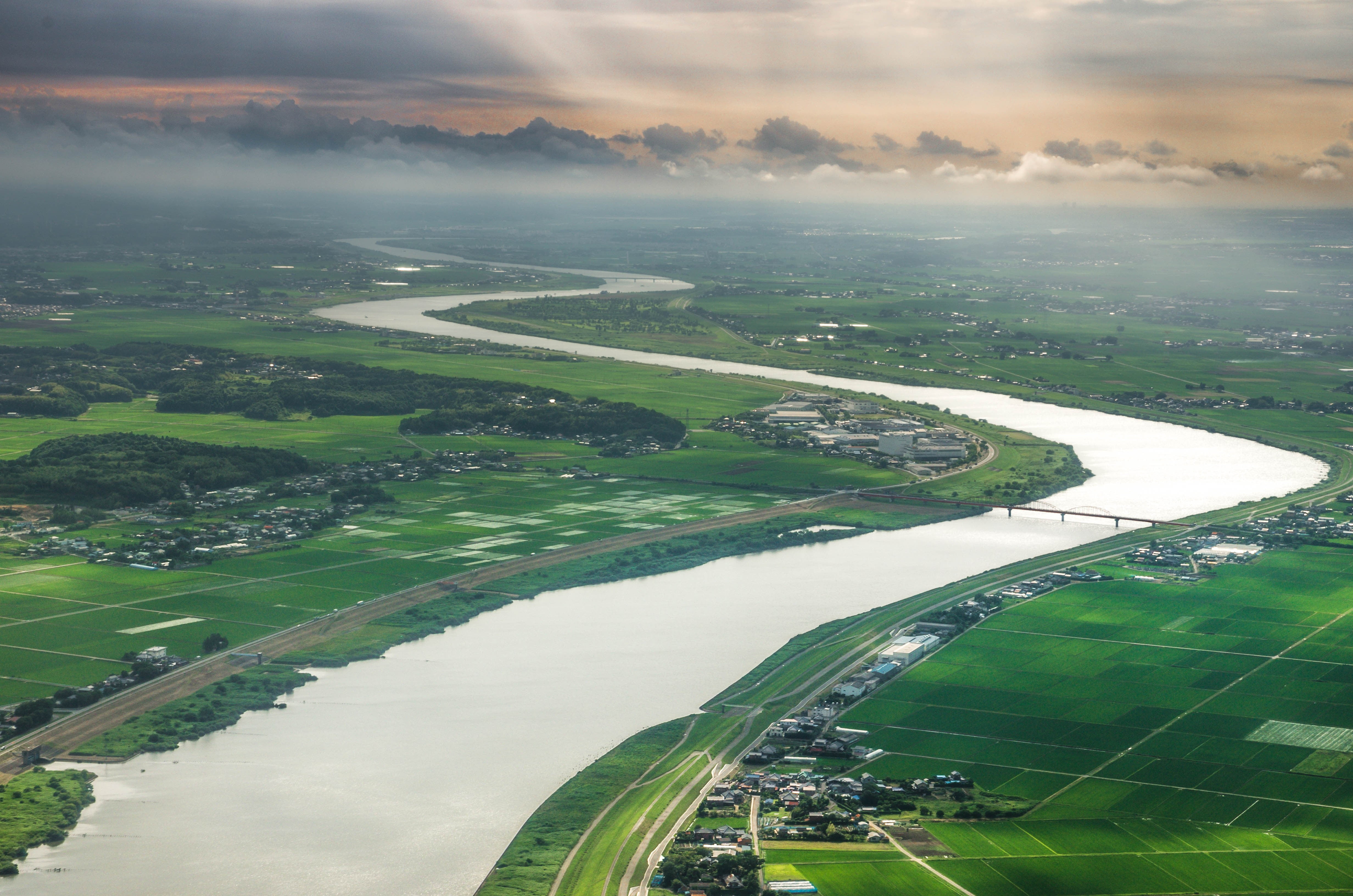 green crop field, Japan, river, nature, landscape