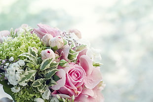 bouquet of pink petaled flowers near white surface