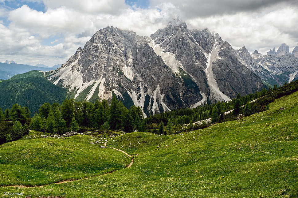green trees surrounding snow-filled mountain photo HD wallpaper