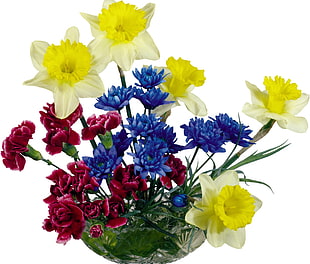 assorted color petaled flowers